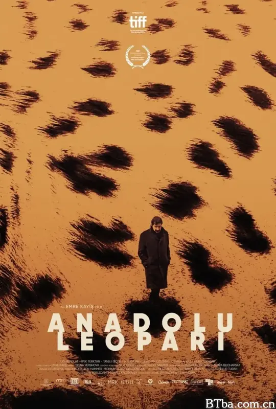 安纳托利亚豹/Anadolu Leopari