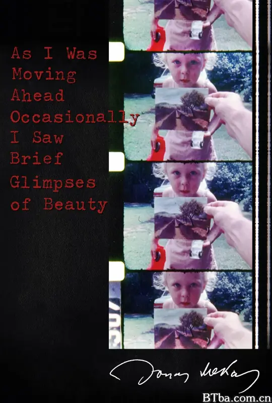 当我往前走之时偶尔会瞥到一缕美丽之景/As I Was Moving Ahead Occasionally I Saw Brief Glimpses of Beauty