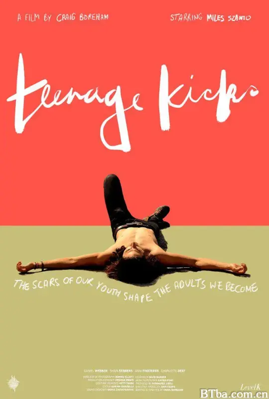 踏步青春/Teenage Kicks