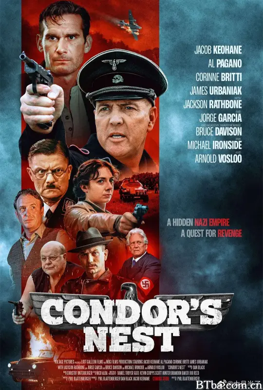 秃鹰的巢穴/Condor's Nest