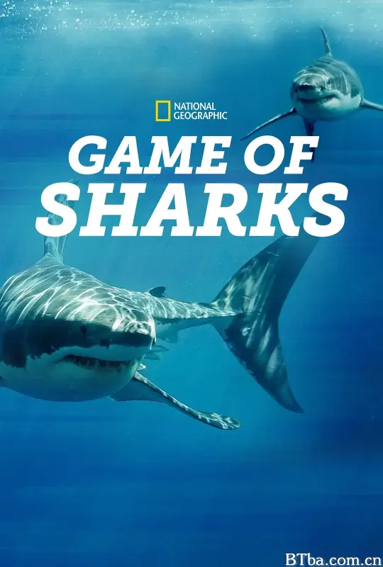 鲨鱼争霸战/Game of Sharks