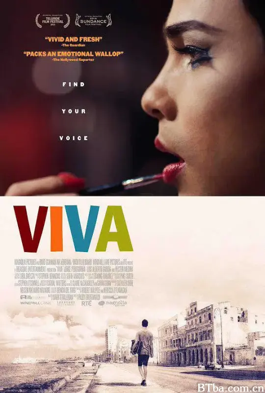 维瓦/Viva