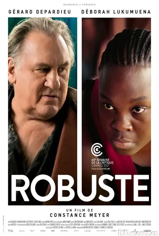 坚强如初/Robuste
