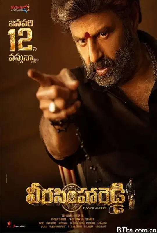 复仇之路/Veera Simha Reddy