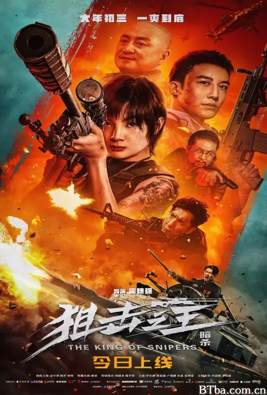 狙击之王：暗杀