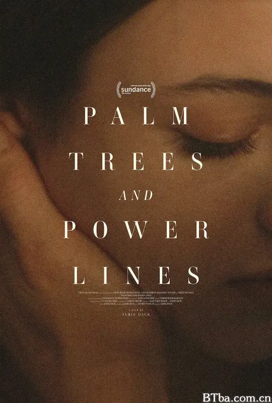 棕榈树与输电线/Palm Trees and Power Lines