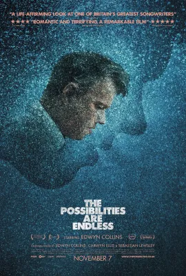 无限可能/The Possibilities Are Endless