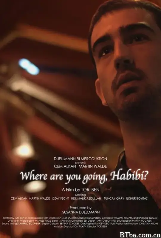 你想去哪儿，亲爱的？/Wo willst du hin, Habibi?