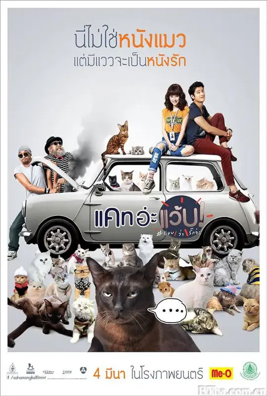 擅离职守的猫咪/Cat อ่ะ แว๊บ!