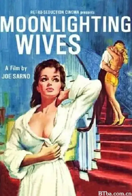 午夜流莺/Moonlighting Wives