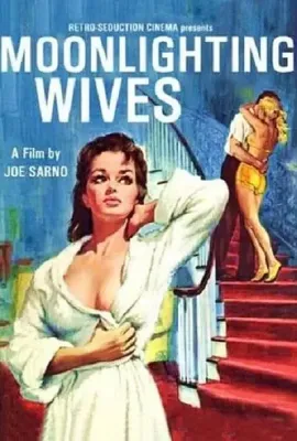 午夜流莺/Moonlighting Wives