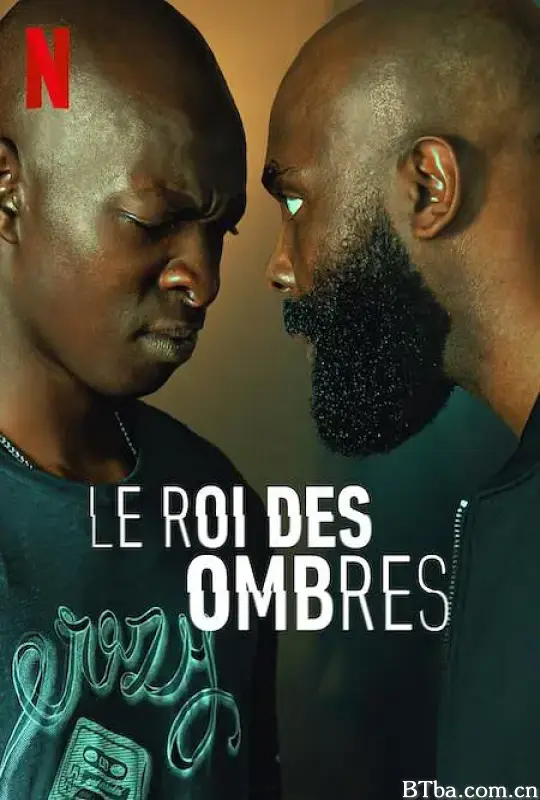 在他的阴影下/Le Roi des Ombres