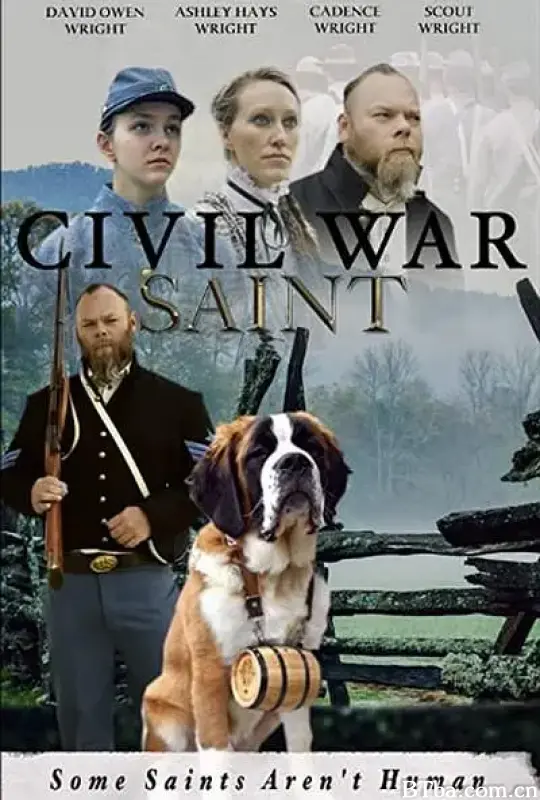 内战圣伯纳犬/Civil War Saint