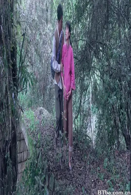 扑蝶
