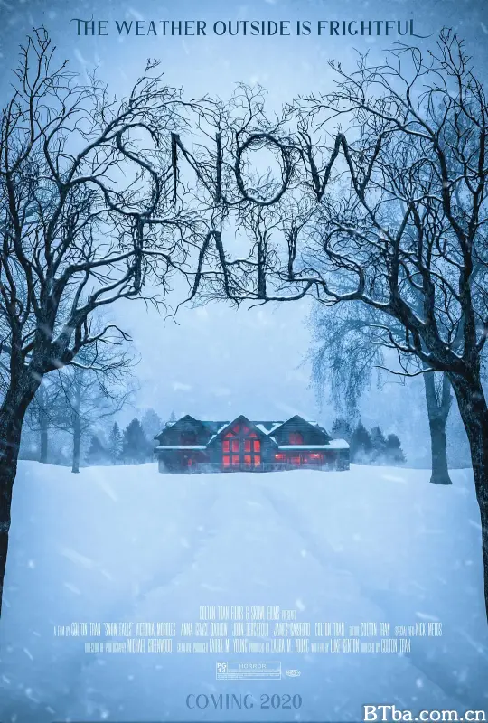 极冻邪恶/Snow Falls
