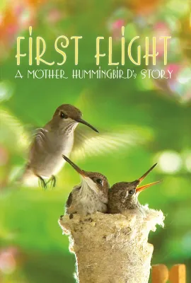 首捷：一只蜂鸟妈妈的抚育故事/First Flight: A Mother Hummingbird's Story