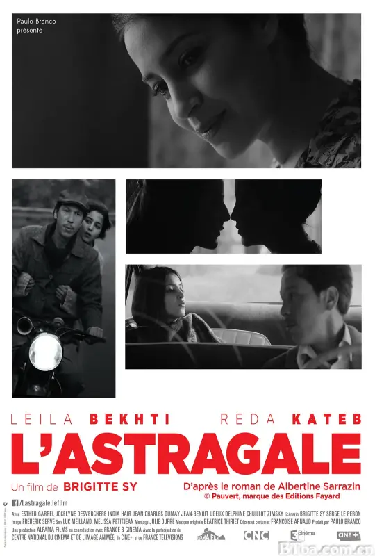 黄芪/L'astragale