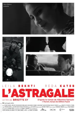 黄芪/L'astragale