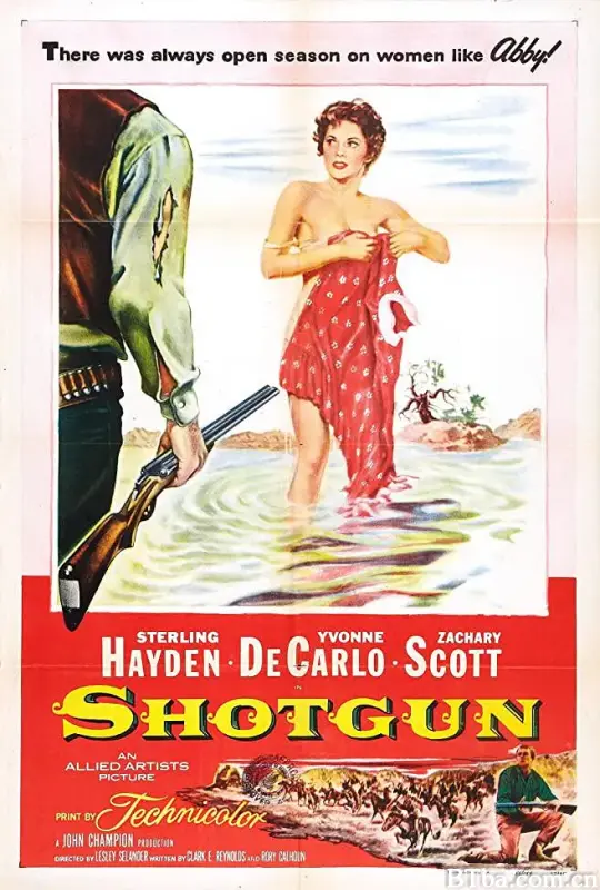 连环枪虎将/Shotgun