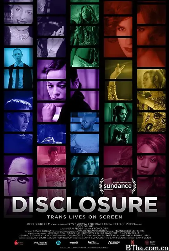 揭开面纱：好莱坞的跨性别人生/Disclosure: Trans Lives on Screen
