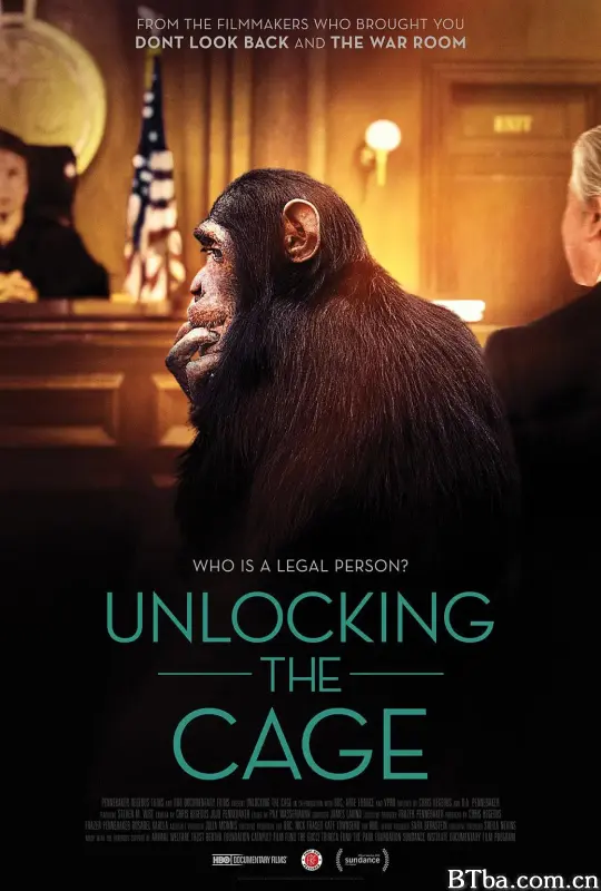打开笼子/Unlocking the Cage