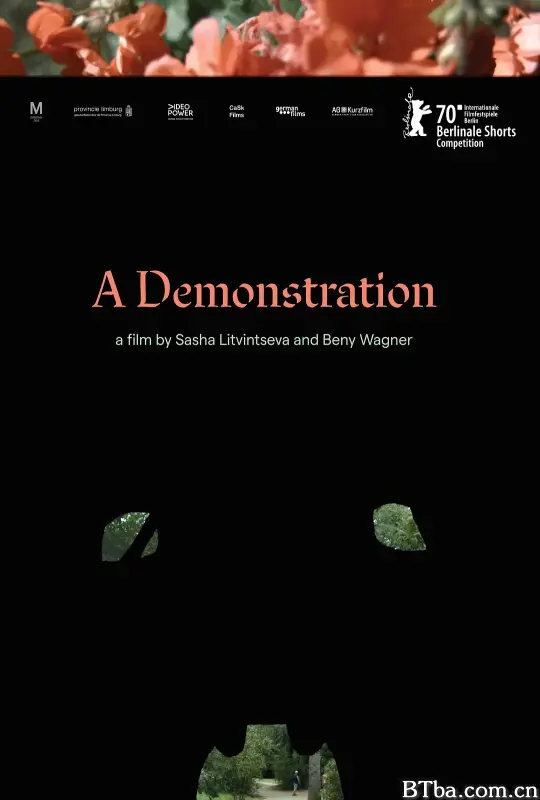 一次展示/A Demonstration
