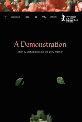一次展示/A Demonstration