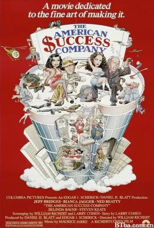 美国成功公司/The American Success Company