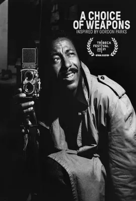 哥顿，派克斯的艺术生涯/A Choice of Weapons: Inspired by Gordon Parks