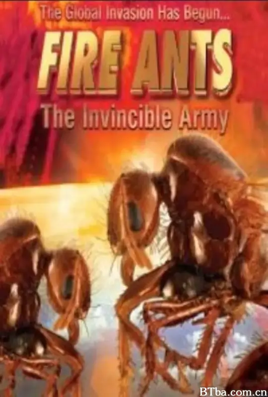 红火蚁：不可战胜的兵团/Fire Ants 3D: The Invincible Army