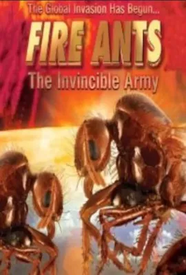 红火蚁：不可战胜的兵团/Fire Ants 3D: The Invincible Army
