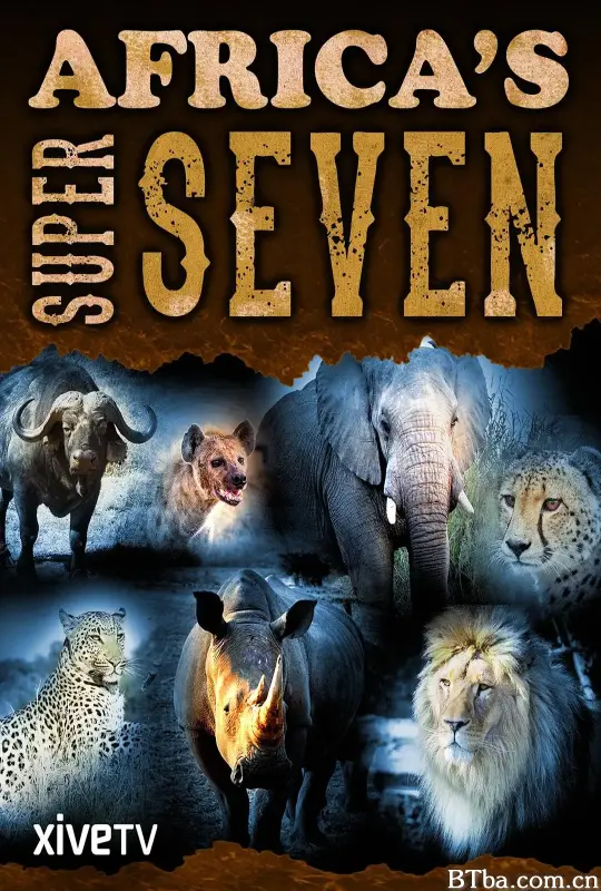 非洲七猛兽/Africa's Super Seven