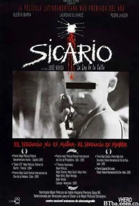 少年海罗/Sicario