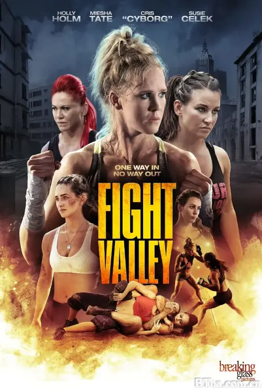 搏击谷/Fight Valley