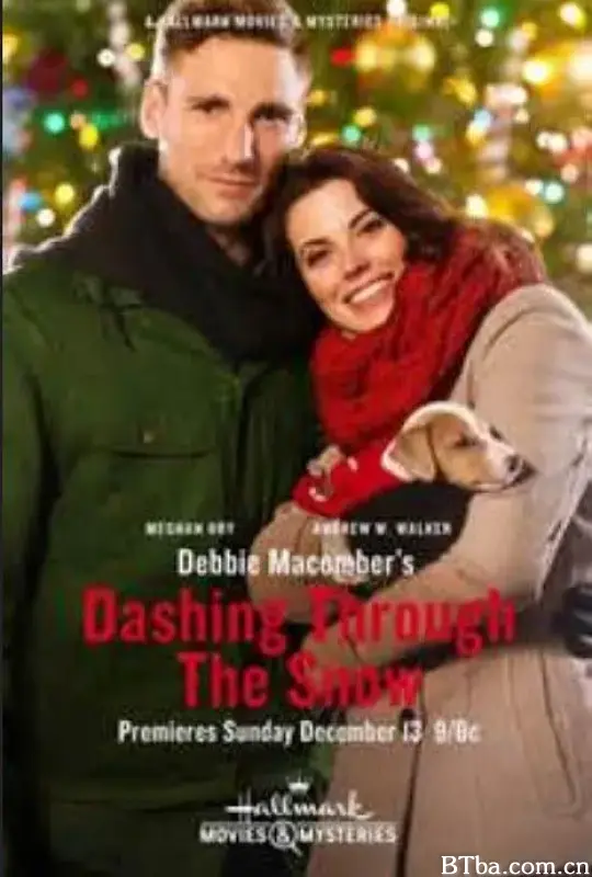 蠢货特务和编织女的公路之旅/Debbie Macomber's Dashing Through the Snow