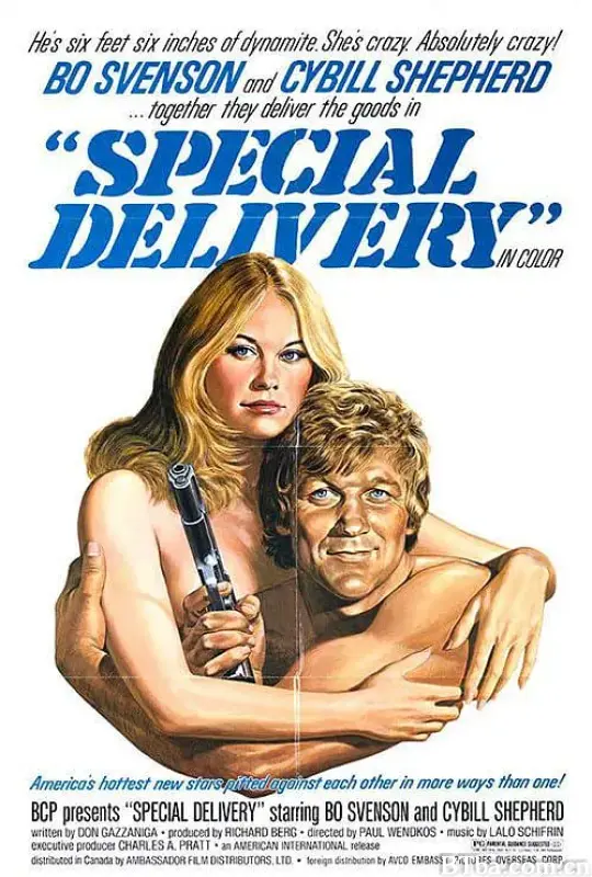 联邦银行大劫案 Special Delivery (1976) 1080P/720P BT磁力 迅雷网盘下载