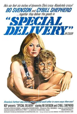 联邦银行大劫案/Special Delivery
