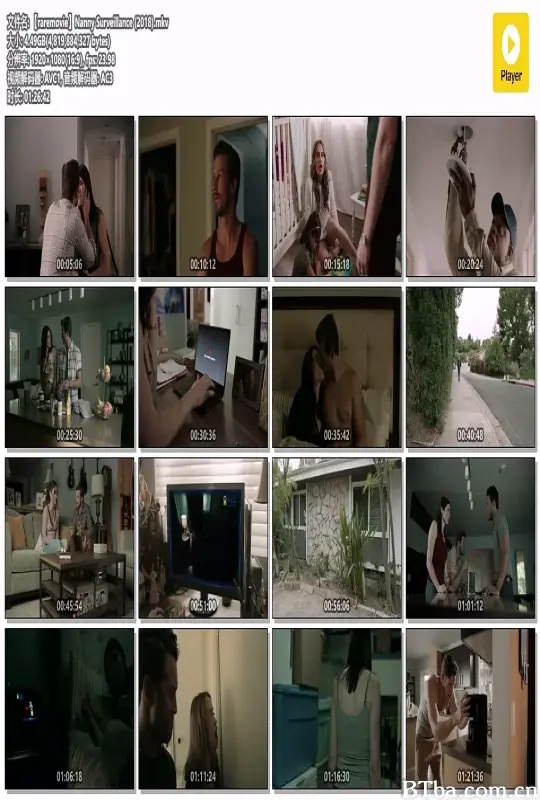 Nanny Surveillance