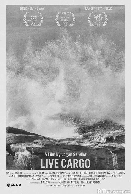 现场负责人/Live Cargo