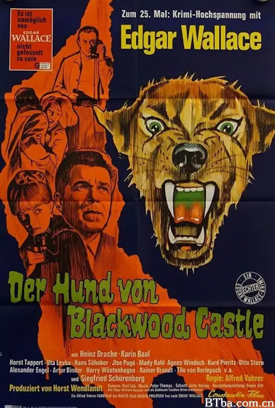 黑林城堡之犬/Der Hund von Blackwood Castle