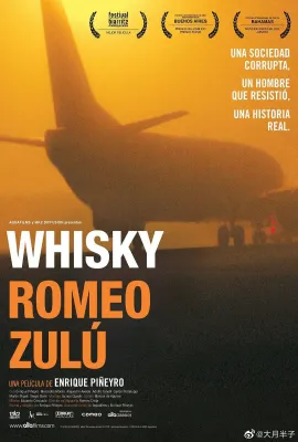 坠机真相/Whisky Romeo Zulu