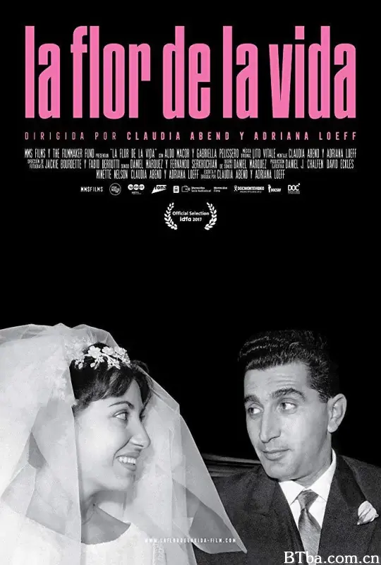 生命之花/La flor de la vida