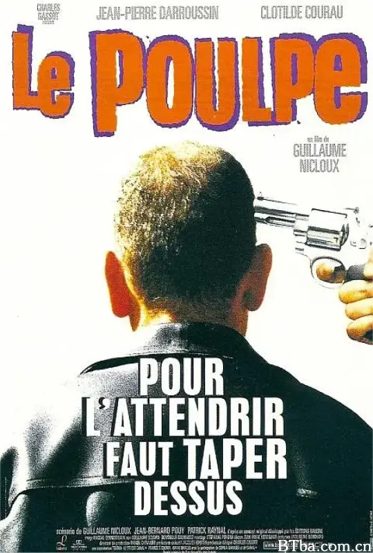 章鱼/Le poulpe