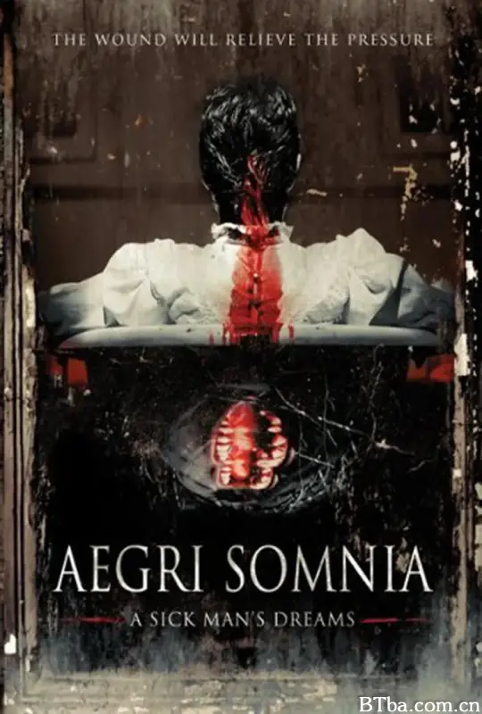 Aegri Somnia