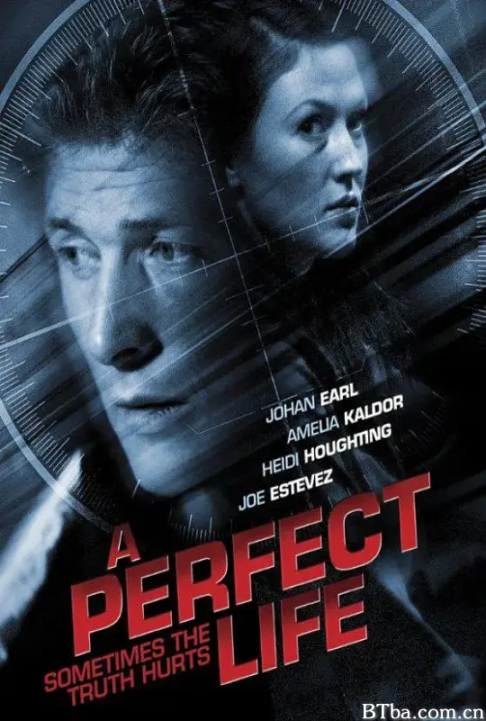 完美人生/A Perfect Life
