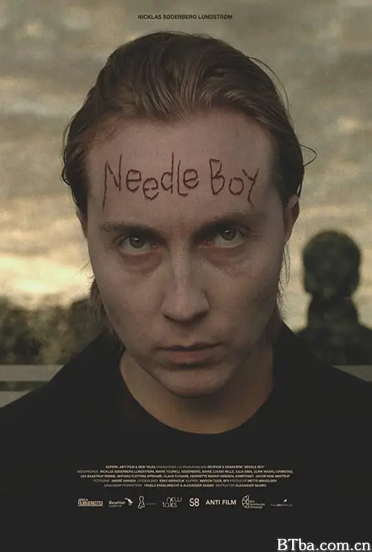 刺头男孩/Needle Boy