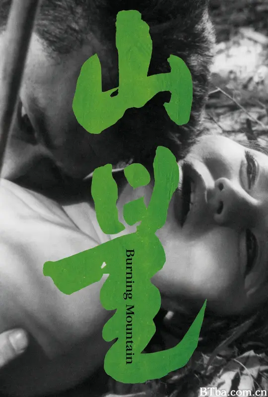 山火/산불