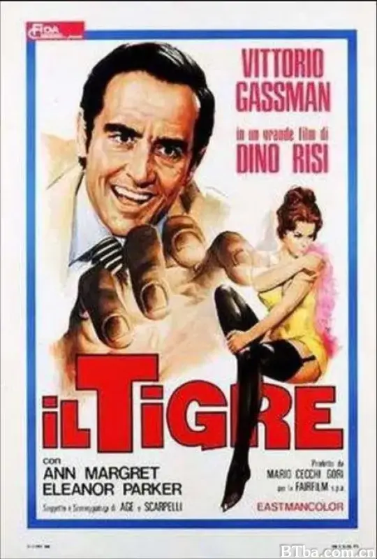 猛虎与猫咪/Il tigre