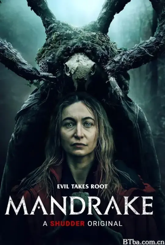 曼德拉草/Mandrake