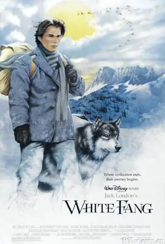 雪地黄金犬/White Fang